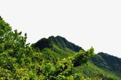 重庆旅游重庆永川茶山竹海风景矢量图高清图片