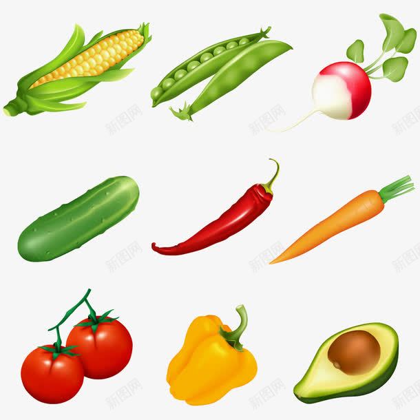 蔬菜png免抠素材_新图网 https://ixintu.com 健康食品 卡通蔬菜 新鲜 玉米 番茄 绿色食品 蔬菜 辣椒 黄瓜