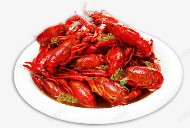 红色小龙虾png免抠素材_新图网 https://ixintu.com 小龙虾 海鲜 美食