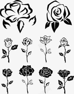 二十四节气合集手绘线描玫瑰合集图标图标