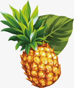 手绘清新自然手绘热带水果菠萝矢量图高清图片