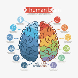 彩色大脑装饰图案矢量图素材