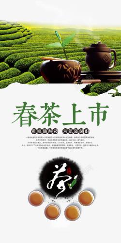 绿茶广告新茶上市春茶海报高清图片