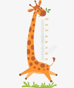 男人量尺子长颈鹿量身高高清图片