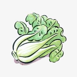 绿色大白菜卡通手绘大白菜高清图片
