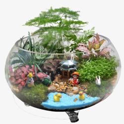 组合植物苔藓微景观组合植物生态瓶高清图片