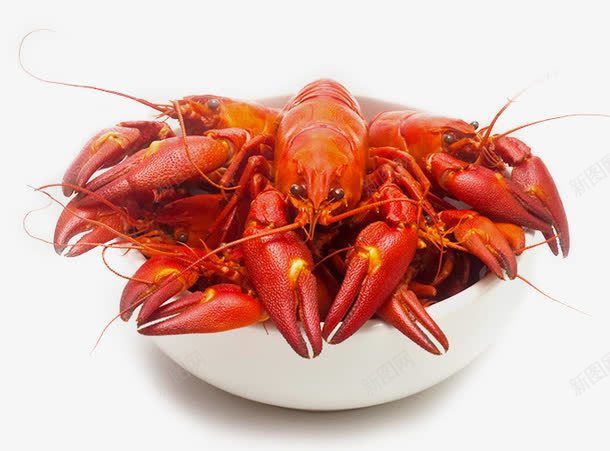 美食小龙虾png免抠素材_新图网 https://ixintu.com 小龙虾 红色 美食 食物