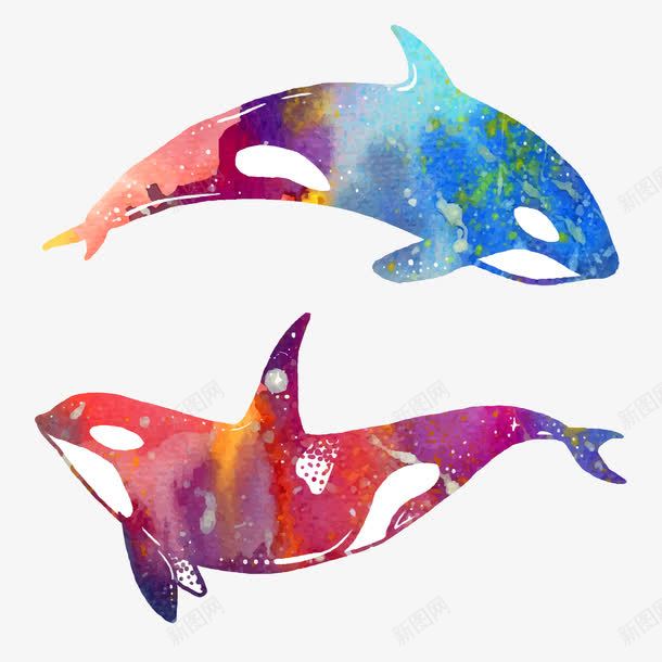 水彩鲸鱼png免抠素材_新图网 https://ixintu.com 两条 卡通 手绘 水彩 简图 红色 蓝色 鲸鱼