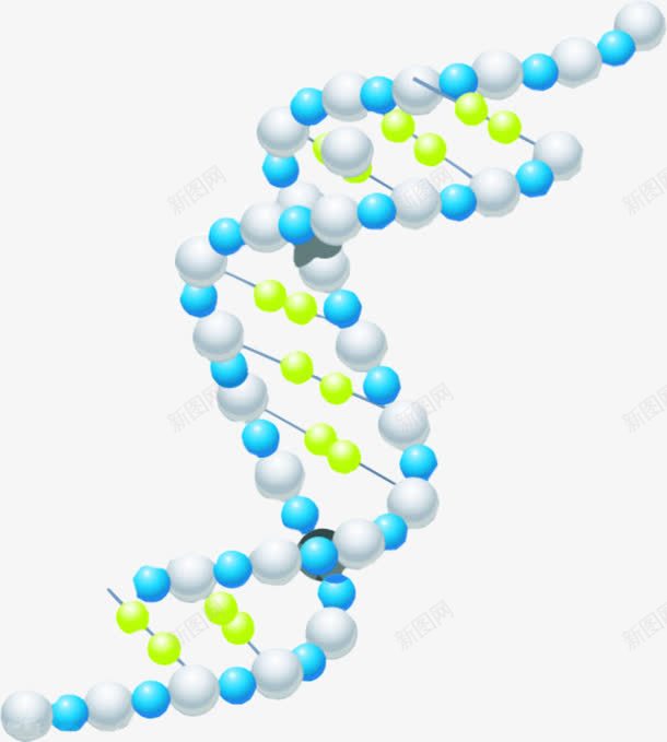 蓝白色基因图案png免抠素材_新图网 https://ixintu.com DNA 医学研究 基因 蓝白色 螺旋状 遗传物质