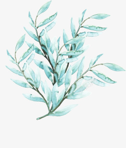 淡雅水彩画彩绘植物高清图片