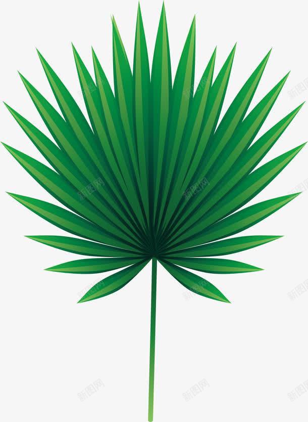 绿色棕榈树叶png免抠素材_新图网 https://ixintu.com 棕榈树 热带植物 矢量素材 绿色树叶