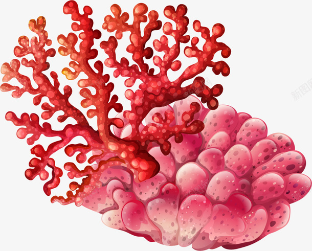 世界海洋日茂盛珊瑚png免抠素材_新图网 https://ixintu.com 世界海洋日 海洋植物 海洋生物 红色珊瑚 茂密珊瑚 茂盛珊瑚