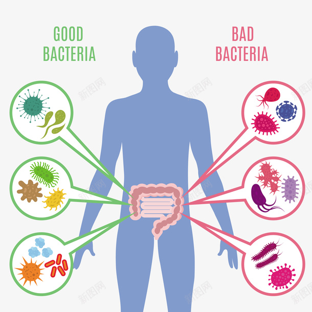 人体肠道细菌矢量图eps免抠素材_新图网 https://ixintu.com 人体细菌 矢量细菌 细菌 细菌PNG 肠道 肠道细菌 矢量图