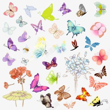 手绘彩色花纹蝴蝶图标图标