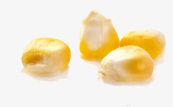 玉米粒矢量图金色玉米颗粒高清图片
