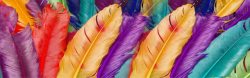 五彩炫彩素材彩色羽毛背景高清图片