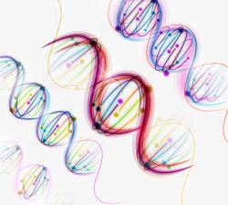 多彩DNA绚丽多彩DNA遗传基因高清图片