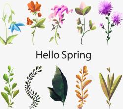 春叶你好春天的花草矢量图高清图片