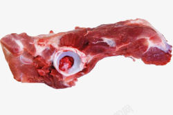 一块骨头一块新鲜猪脊骨肉高清图片