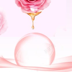 粉色主图素材粉色滴水玫瑰高清图片