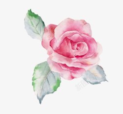 玫瑰花水墨水墨手绘玫瑰花高清图片