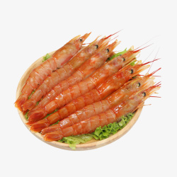 新鲜营养海虾素材