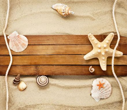 海星贝壳与沙滩木板背景背景