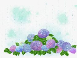 绿色雨滴光晕下的各色绣球花高清图片