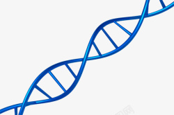 亲子鉴定藏青色逼真dna遗传物质基因肽高清图片
