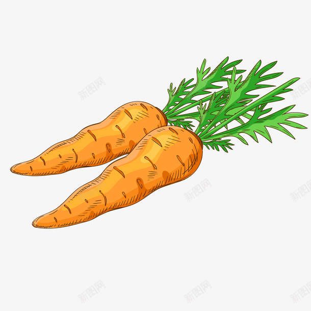 橙色创意胡萝卜食物元素矢量图ai免抠素材_新图网 https://ixintu.com 创意 卡通插画 橙色 美食 胡萝卜 蔬菜 食物 矢量图