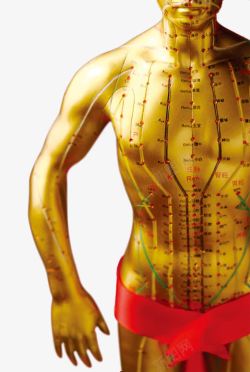 人体男女穴位图人体经脉穴位分布铜人图高清图片