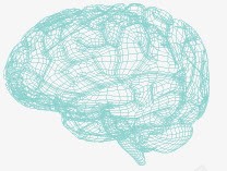 线条大脑蓝色手绘线条大脑高清图片