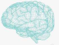 手绘大脑蓝色手绘线条大脑高清图片