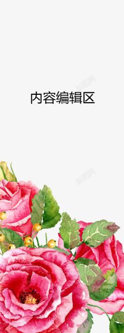 手绘玫瑰花展架模板海报