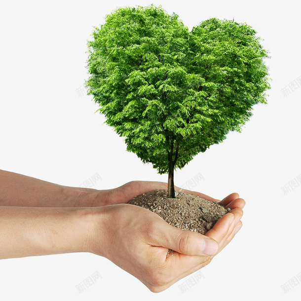 双手捧着爱心的树木png免抠素材_新图网 https://ixintu.com 双手 双手奉上 树木 植树节 植物 爱心的