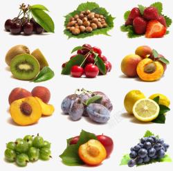 12种新鲜水果水果高清图片