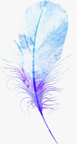 紫色装饰品羽毛高清图片