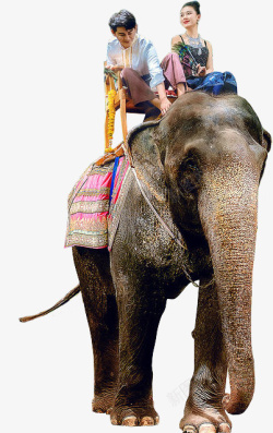 人骑大象西双版纳大象高清图片