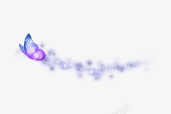 紫色梦幻框架炫彩蝴蝶高清图片