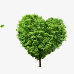 心脏健康分析绿色心脏示意高清图片