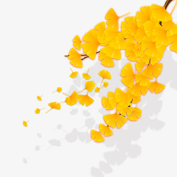丰收节一堆金黄色的银杏叶高清图片