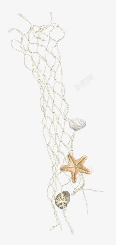 螺旋网状绳子贝壳和渔网高清图片