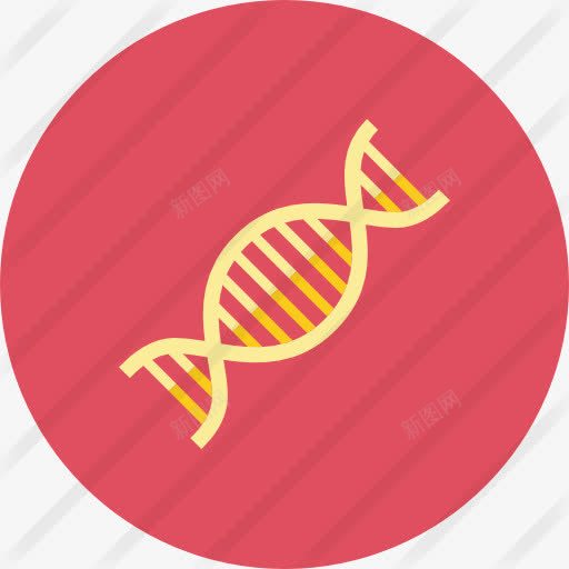 DNA图标png_新图网 https://ixintu.com DNA DNA双螺旋结构图片 DNA结构 医学 医疗保健和医疗 教育 生物学 科学 脱氧核糖核酸 遗传