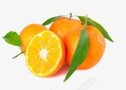 甜美多汁美味橙子高清图片