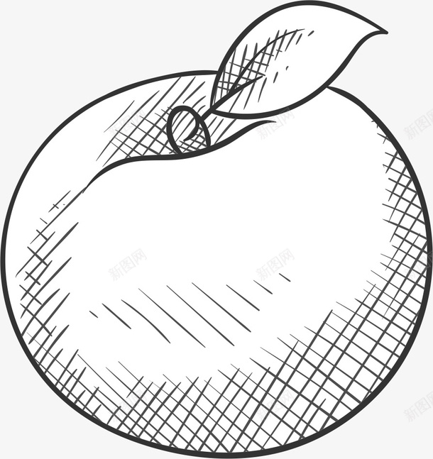 素描水果png免抠素材_新图网 https://ixintu.com PNG图形 PNG装饰 叶子 线条 苹果 装饰 黑白水果 黑色