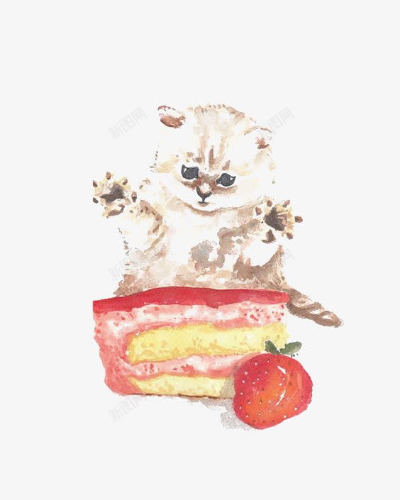 蛋糕和小猫png免抠素材_新图网 https://ixintu.com 宠物 水彩 烘焙 猫咪 草莓 蛋糕