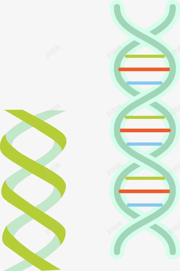 可爱清新基因链矢量图ai免抠素材_新图网 https://ixintu.com DNA DNA双螺旋 DNA双螺旋结构图片 PPT元素 实验 矢量图 研究 科学