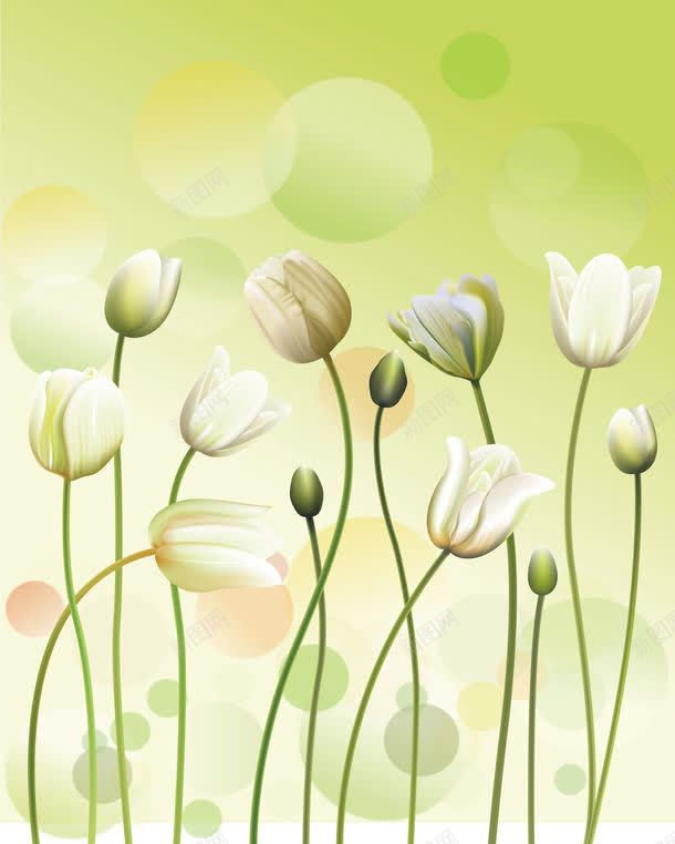 花朵插画背景图片免费下载 素材7nmegapug 新图网