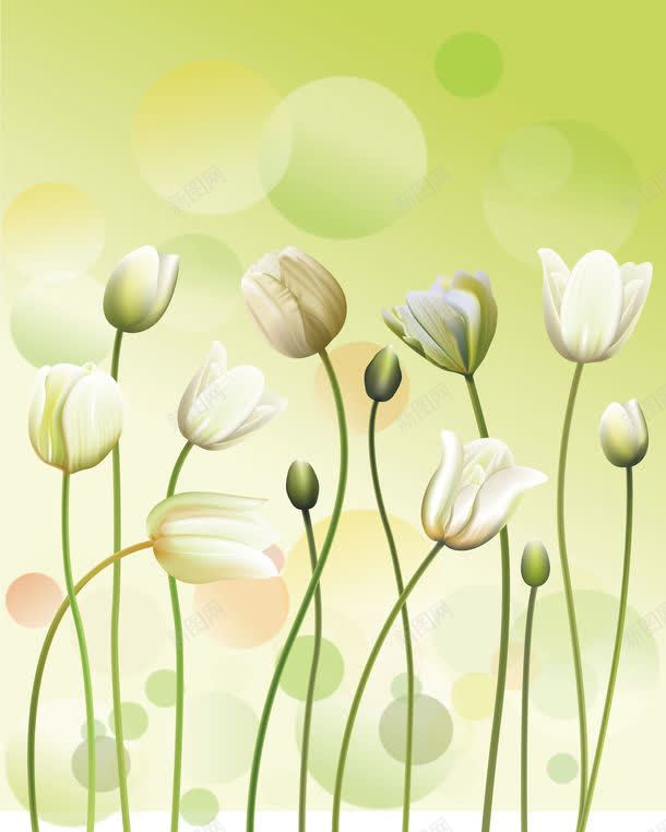 花朵插画背景图片免费下载 素材7nmegapug 新图网 花朵插画背景图片免费下载 素材7nmegapug 新图网