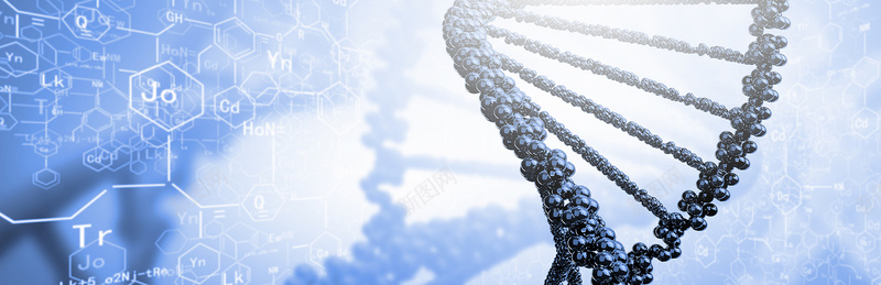 3D结构基因遗传背景banner背景